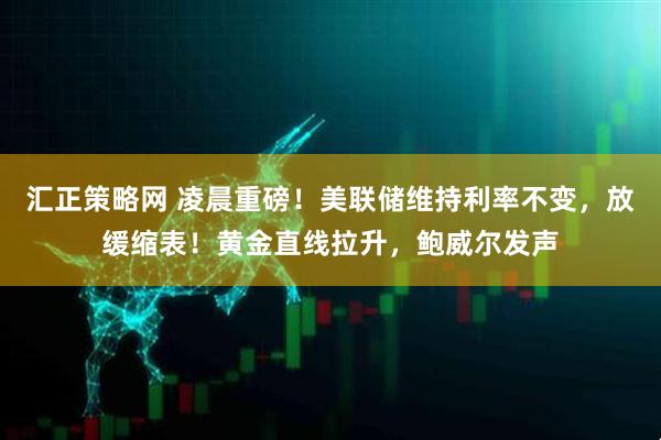汇正策略网 凌晨重磅！美联储维持利率不变，放缓缩表！黄金直线拉升，鲍威尔发声
