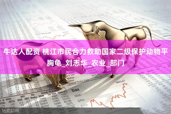 牛达人配资 桃江市民合力救助国家二级保护动物平胸龟_刘志华_农业_部门