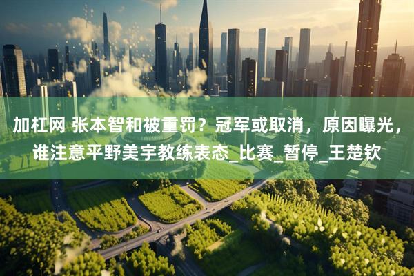 加杠网 张本智和被重罚？冠军或取消，原因曝光，谁注意平野美宇教练表态_比赛_暂停_王楚钦